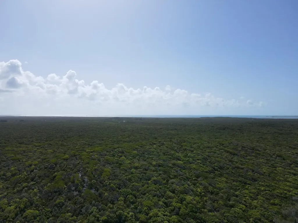 120 Acres Doctor's Creek Long Island BS