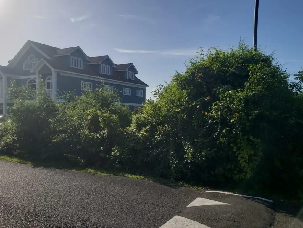 Lot 89 Indigo New Providence Paradise Island BS