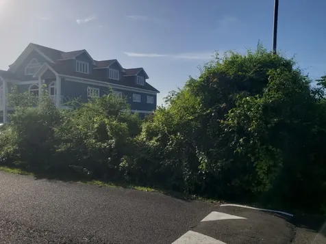 Lot 89 Indigo New Providence Paradise Island BS