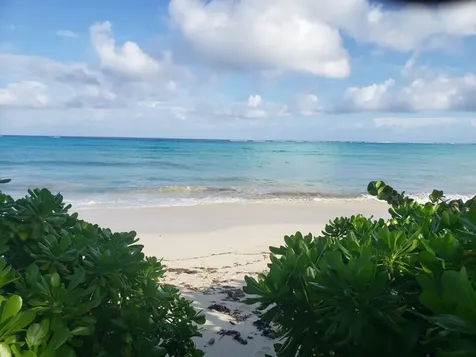 Lot 89 Indigo New Providence Paradise Island BS