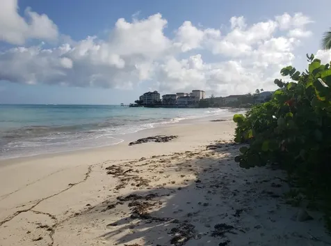 Lot 89 Indigo New Providence Paradise Island BS