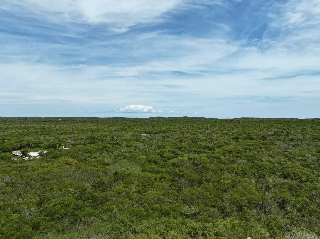 6 Acres Doctor's Creek Long Island BS