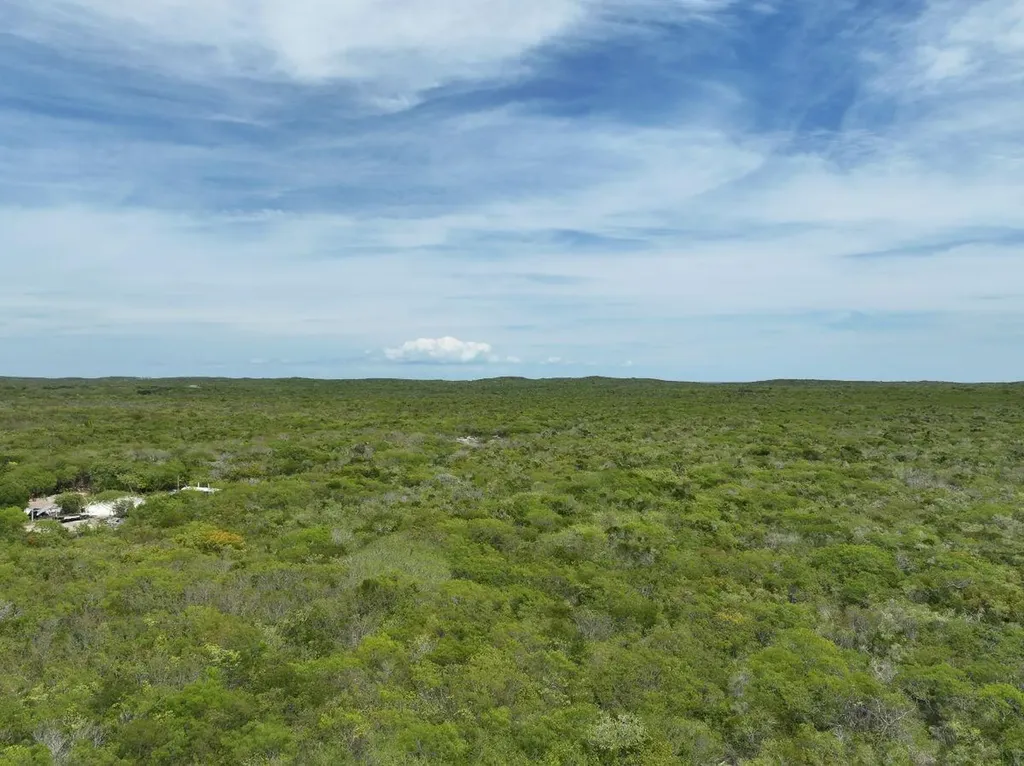 6 Acres Doctor's Creek Long Island BS