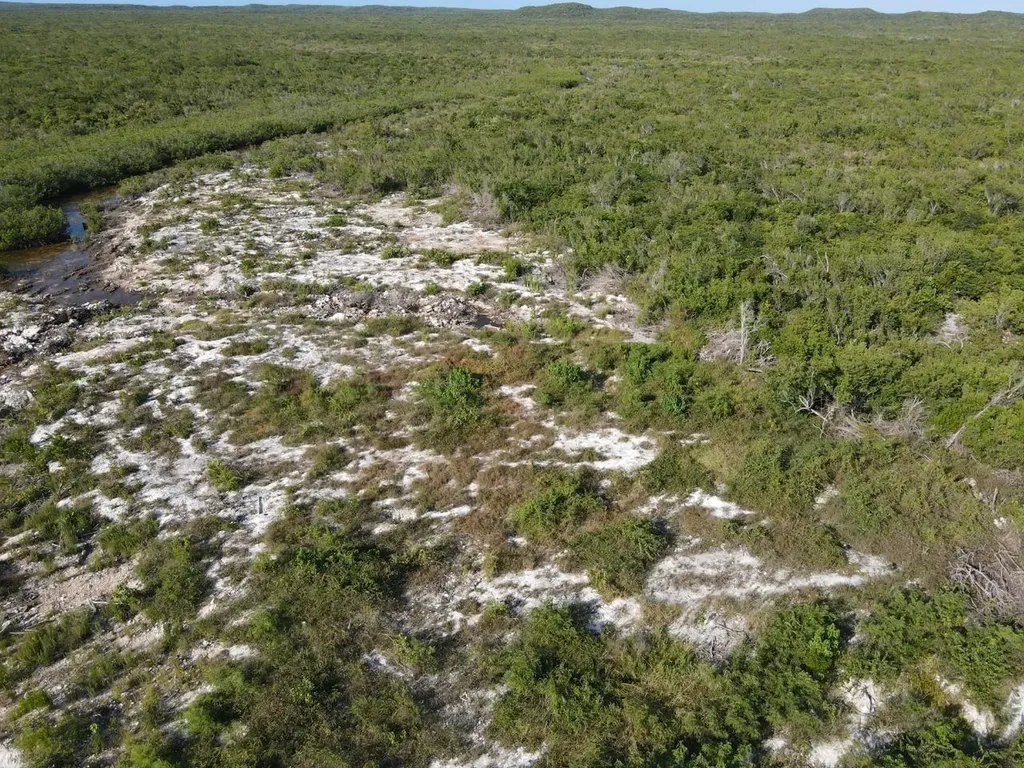 6 Acres Doctor's Creek Long Island BS