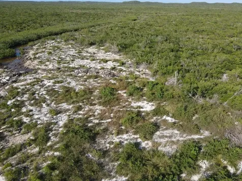 6 Acres Doctor's Creek Long Island BS