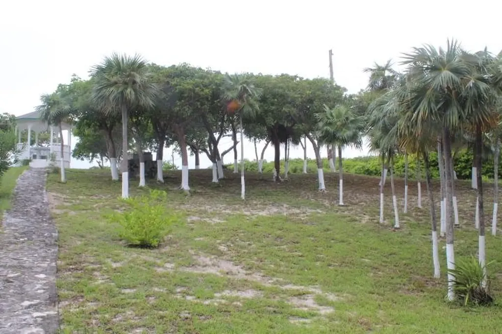 Stella Maris Lot# 94 Long Island BS