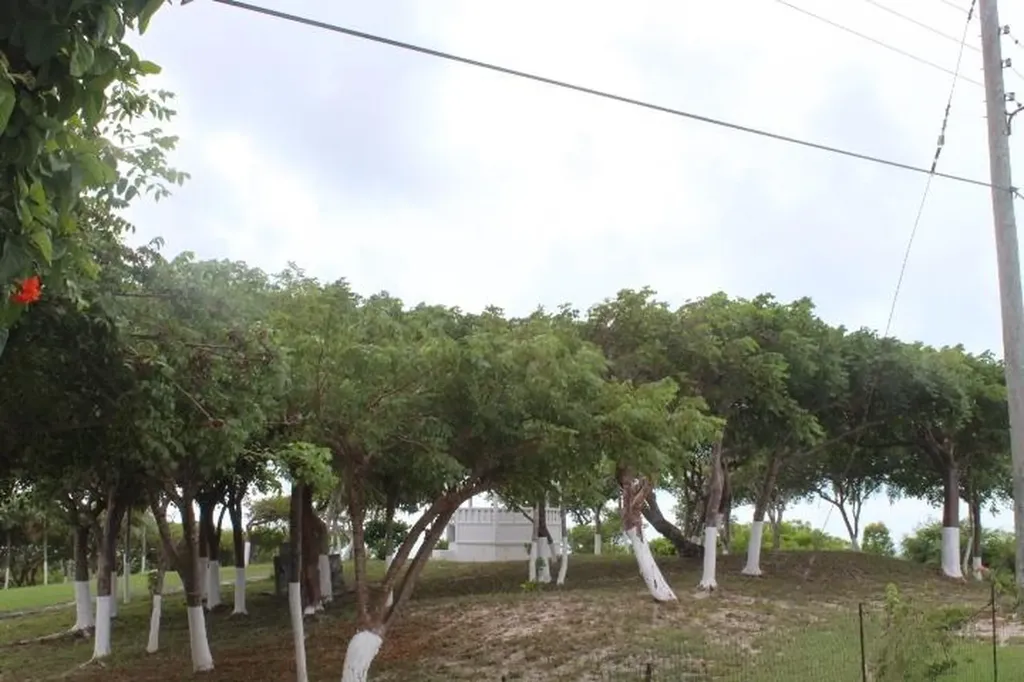 Stella Maris Lot# 94 Long Island BS