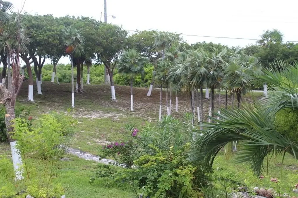 Stella Maris Lot# 94 Long Island BS