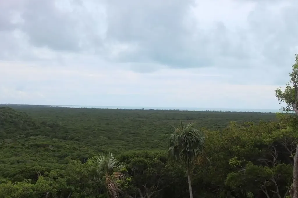 Stella Maris Lot# 94 Long Island BS