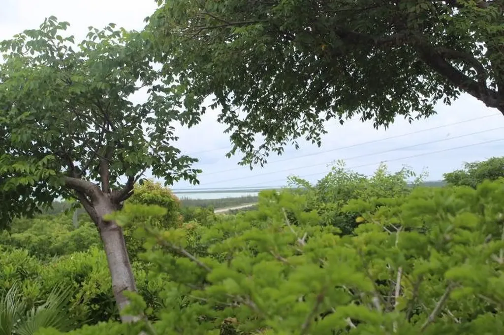 Stella Maris Lot# 94 Long Island BS