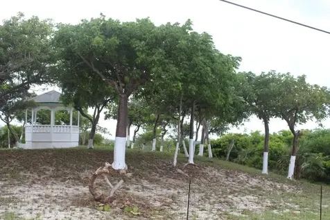 Stella Maris Lot# 94 Long Island BS