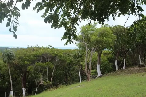 Stella Maris Lot# 94 Long Island BS