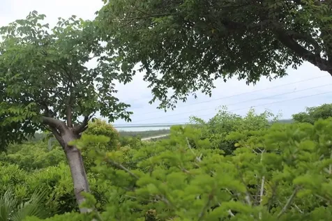 Stella Maris Lot# 94 Long Island BS