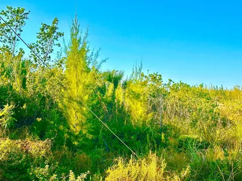 Eleuthera, Bullards Lot 4 Eleuthera BS