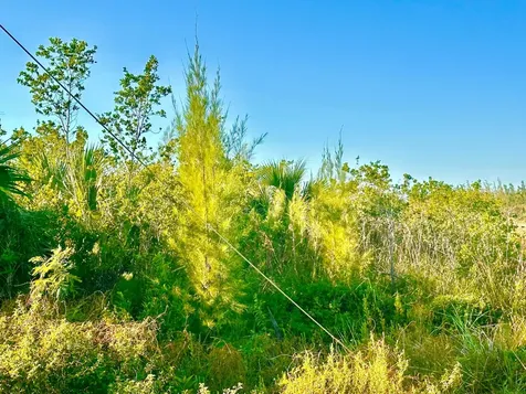 Eleuthera, Bullards Lot 4 Eleuthera BS