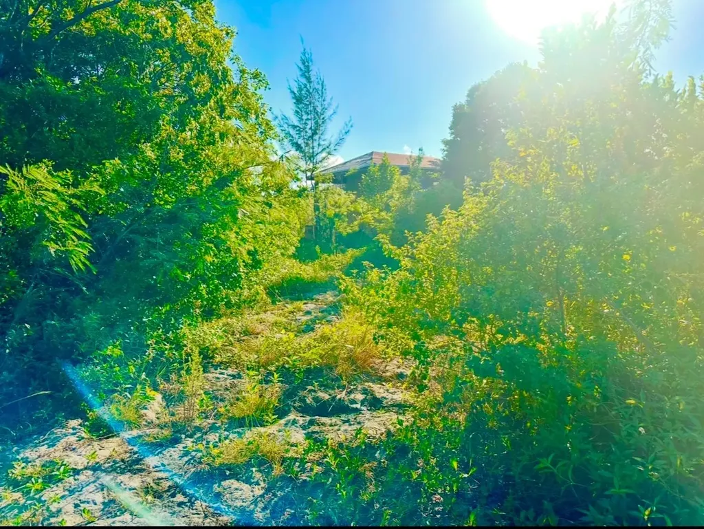 Eleuthera, Bullards Lot 1 Eleuthera BS