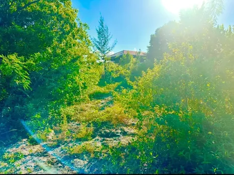 Eleuthera, Bullards Lot 1 Eleuthera BS