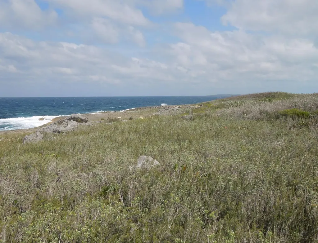 Whale Point Eleuthera BS