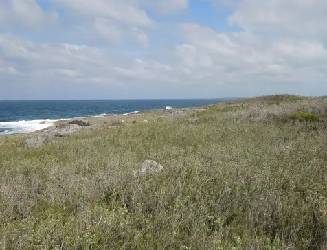 Whale Point Eleuthera BS
