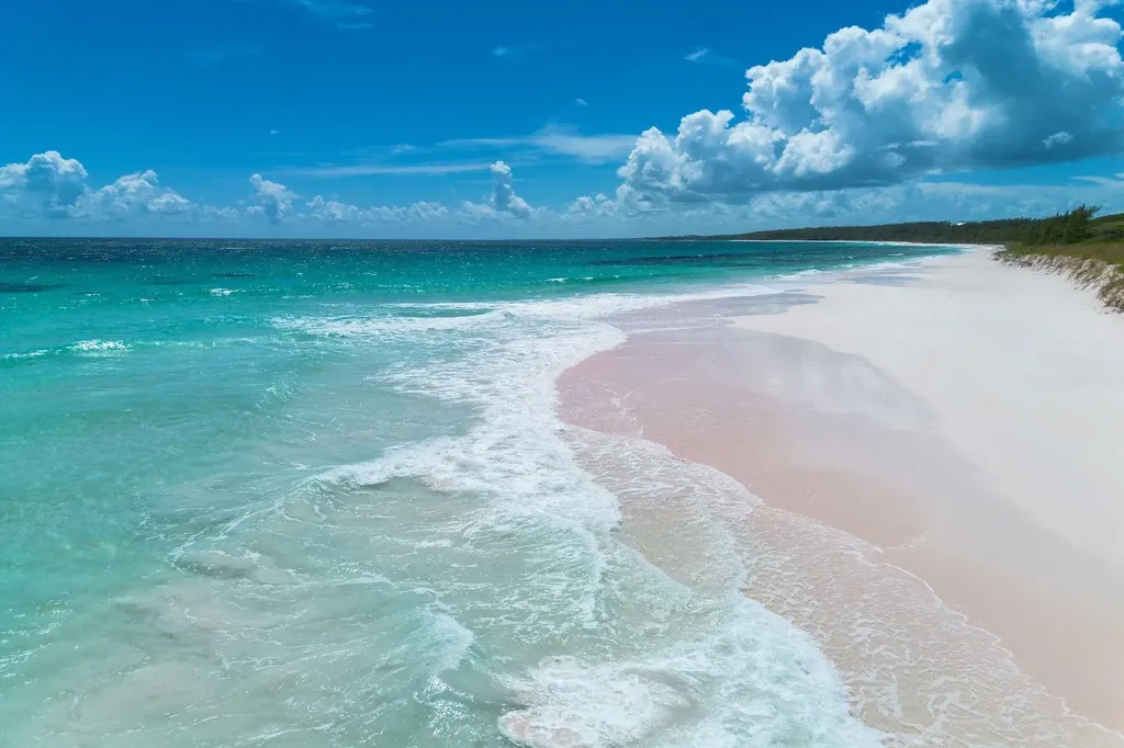 Bohemia Eleuthera BS