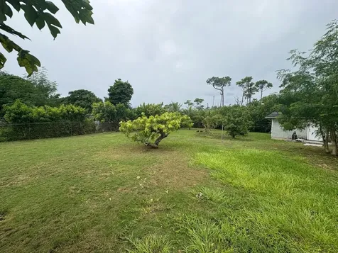 Trumpeter Drive 7 Grand Bahama Freeport BS