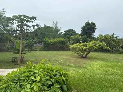 Trumpeter Drive 7 Grand Bahama Freeport BS