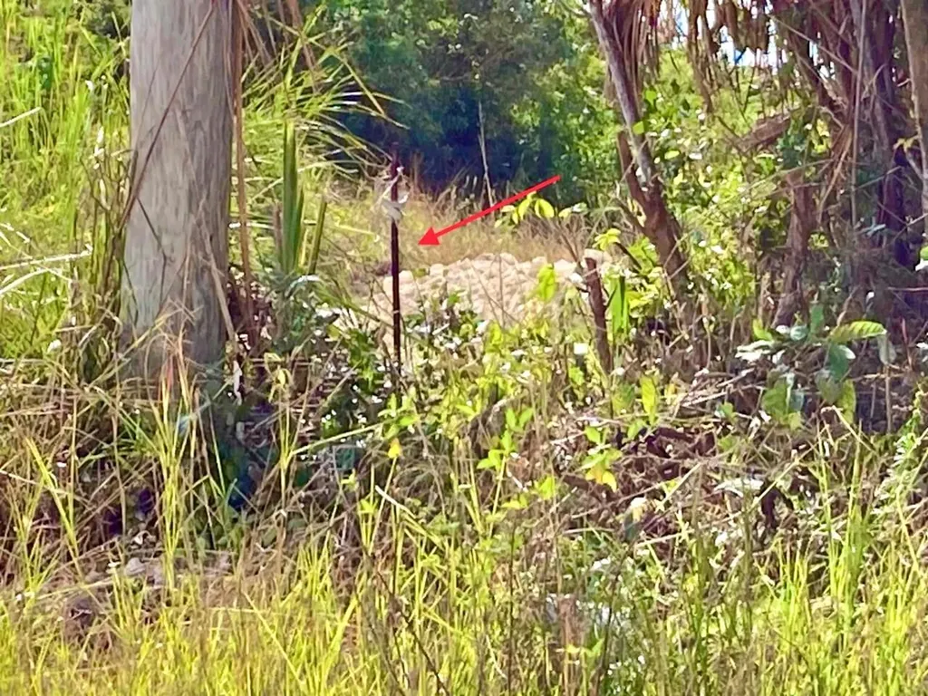 Refuge Court Multifamily Lot New Providence Paradise Island BS