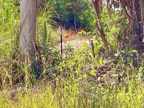 Refuge Court Multifamily Lot New Providence Paradise Island BS