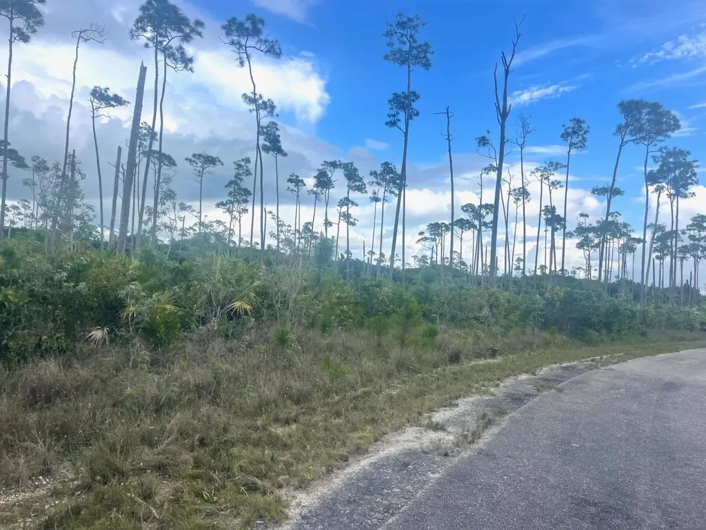 Mooring Cl Grand Bahama Freeport BS