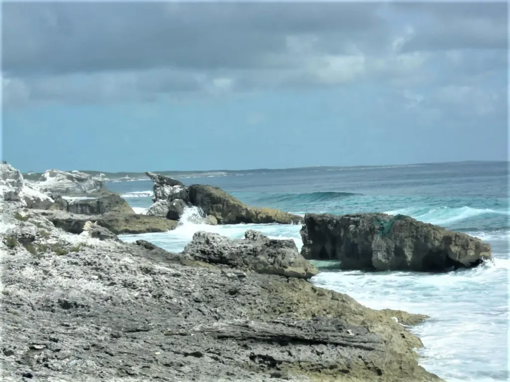Ocean Front Acreage Long Island BS