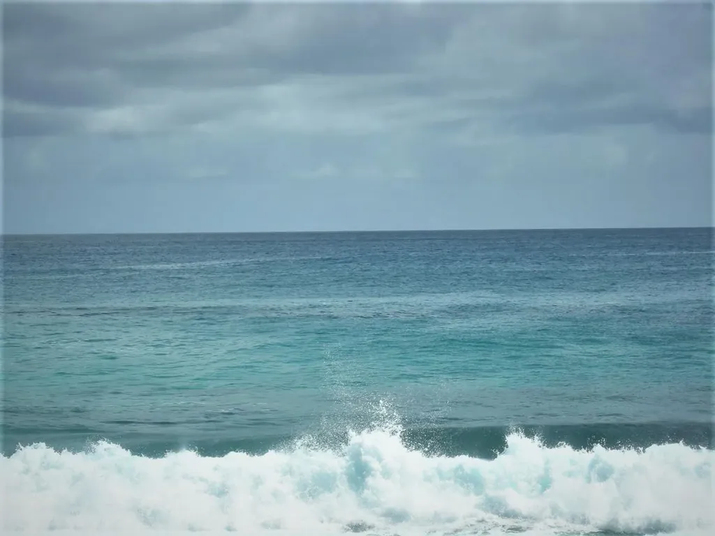 Ocean Front Acreage Long Island BS