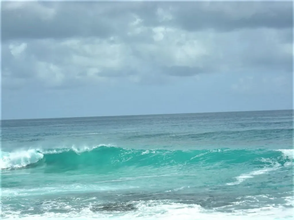 Ocean Front Acreage Long Island BS