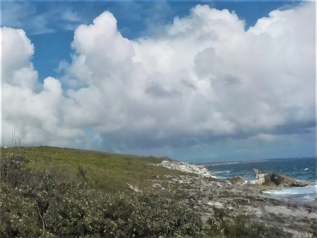 Ocean Front Acreage Long Island BS