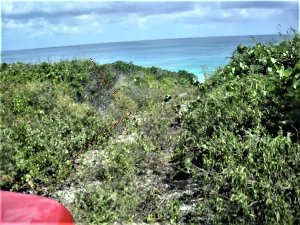 Ocean Front Acreage Long Island BS