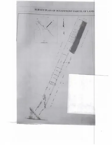 Ocean Front Acreage Long Island BS