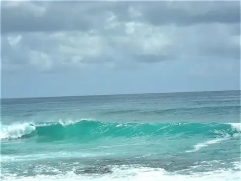 Ocean Front Acreage Long Island BS