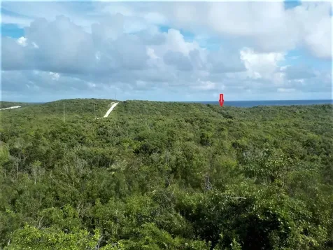 Ocean Front Acreage Long Island BS