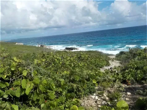 Ocean Front Acreage Long Island BS