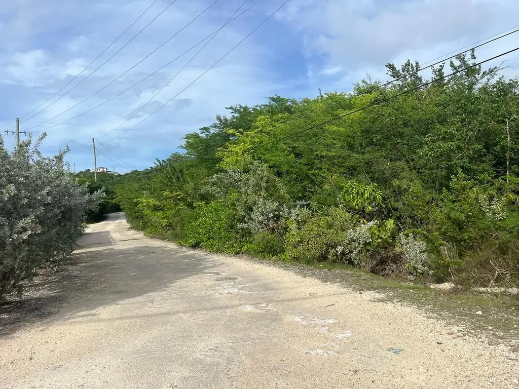 Petty's Long Island BS