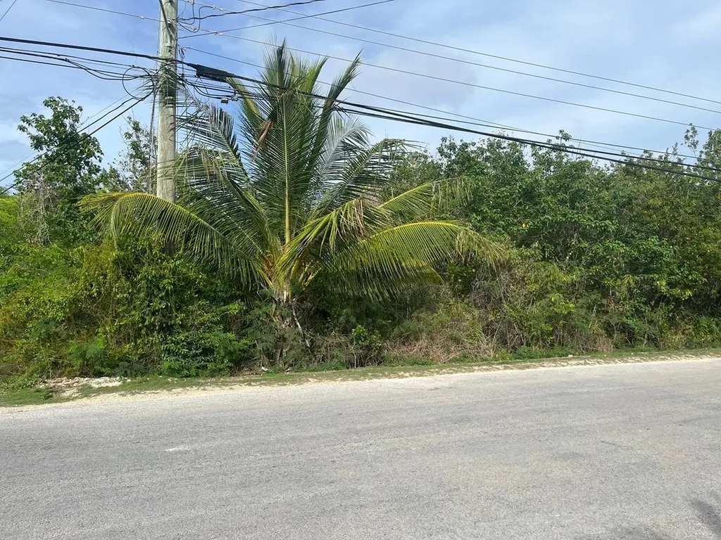 Petty's Long Island BS