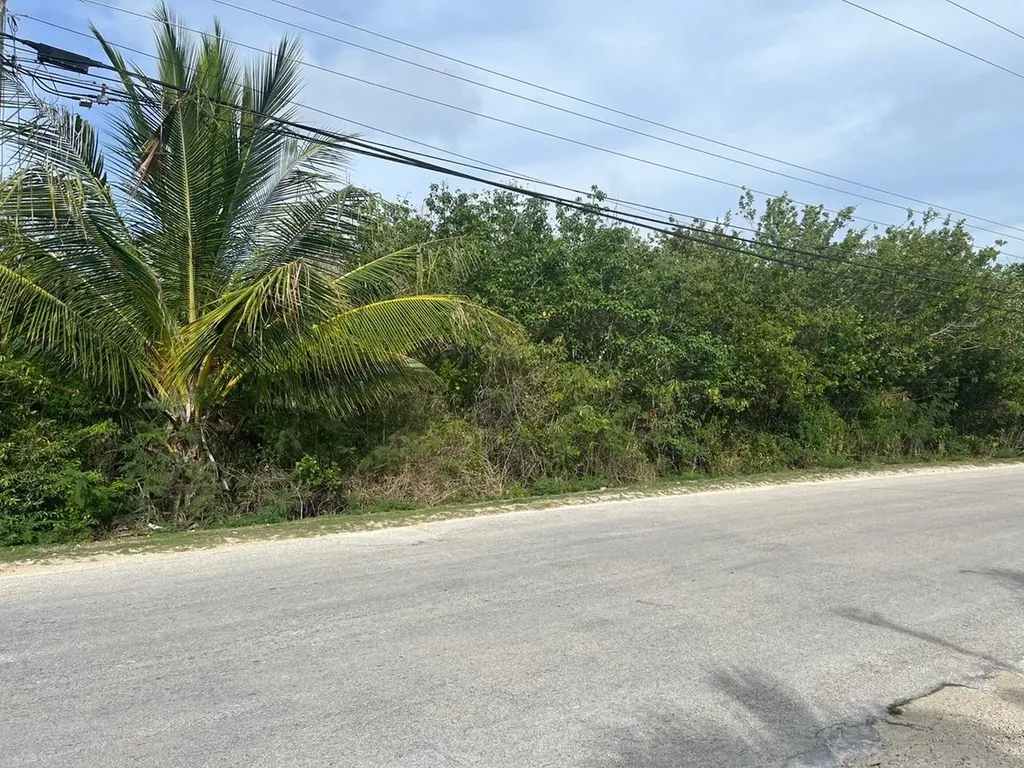 Petty's Long Island BS