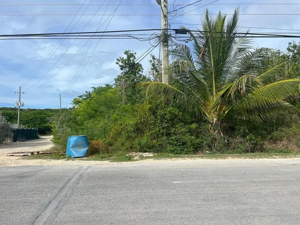 Petty's Long Island BS