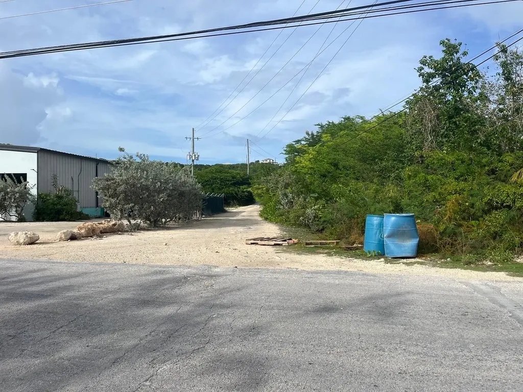 Petty's Long Island BS