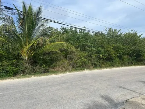 Petty's Long Island BS