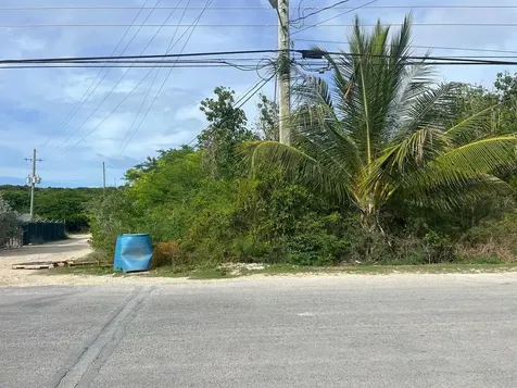 Petty's Long Island BS