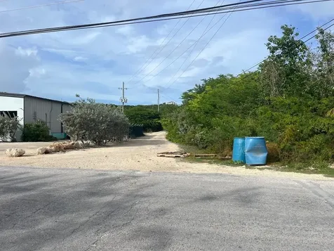 Petty's Long Island BS