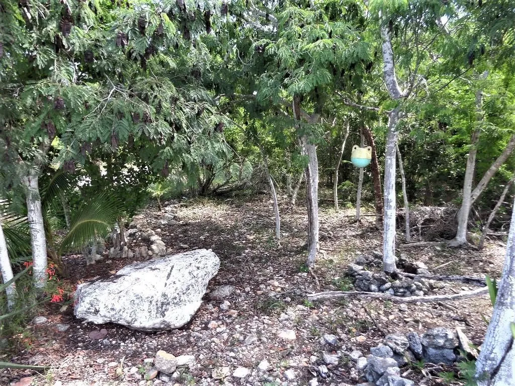 Hamilton's Lot Long Island BS