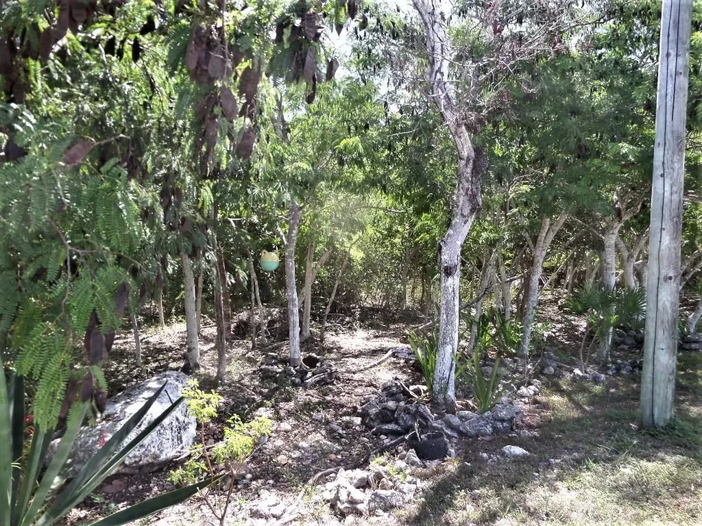 Hamilton's Lot Long Island BS