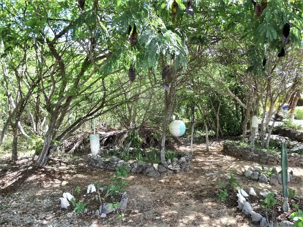 Hamilton's Lot Long Island BS