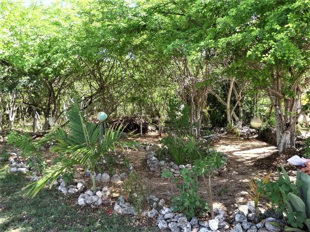 Hamilton's Lot Long Island BS